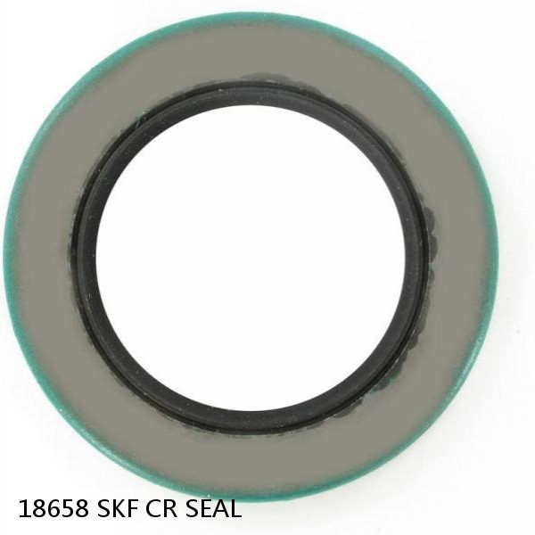 18658 SKF CR SEAL #1 image